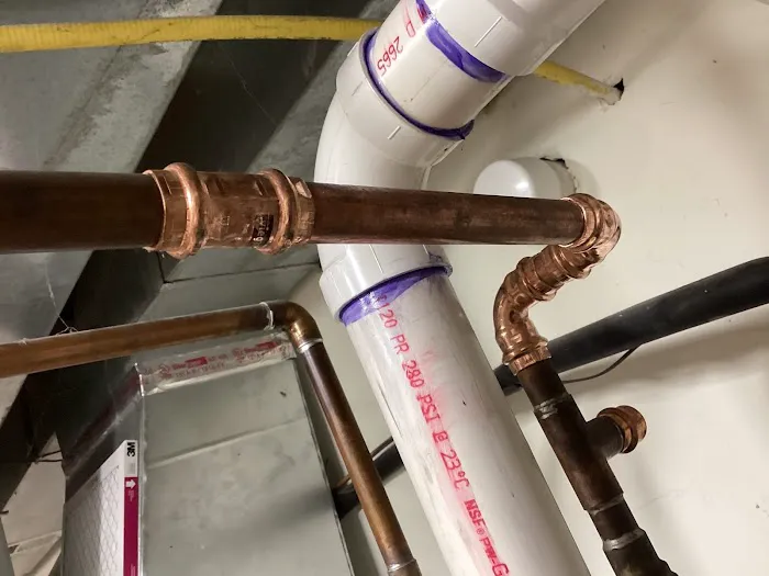1-Tom-Plumber Picture 4