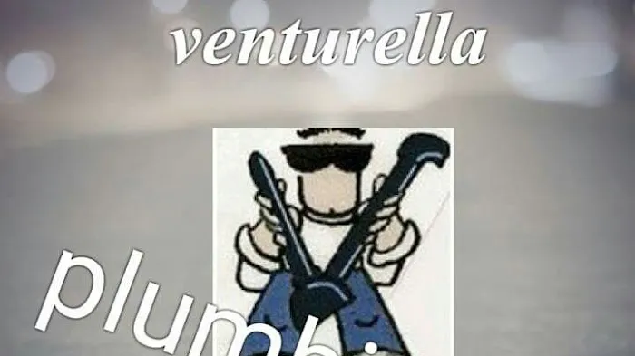 Venturella and Sons Plumbing & Heating, LLC Picture 2