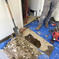 Inspector Plumber ico