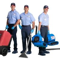 Roto-Rooter Plumbing & Drain Services ico