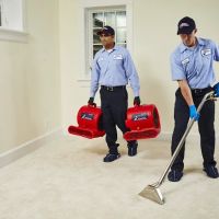Roto-Rooter Plumbing & Drain Services ico