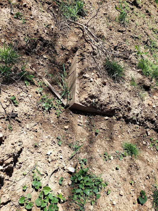 AAA Plumbing & Drain Services Picture 1