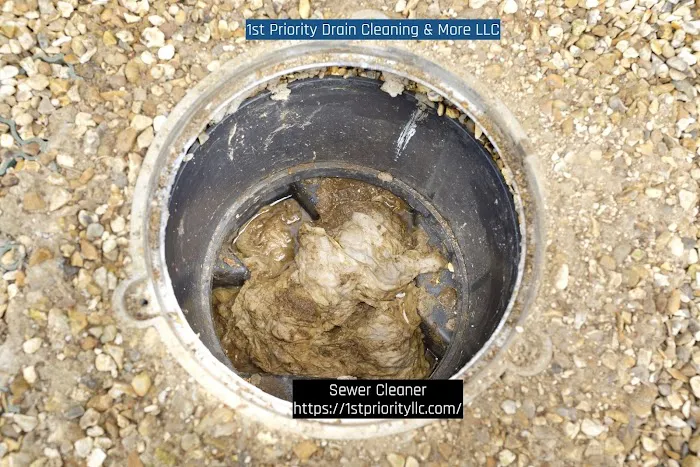 1st Priority Drain Cleaning & More LLC Picture 1
