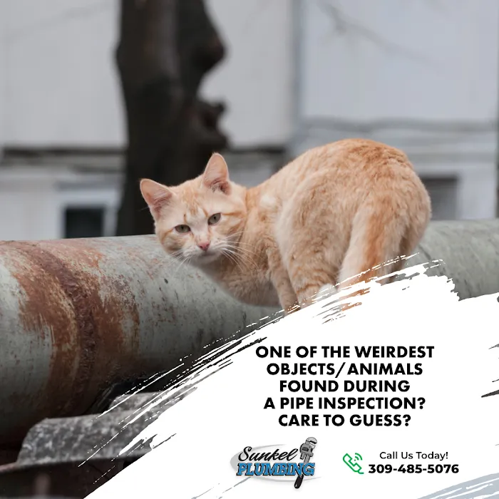Sunkel Plumbing Picture 9