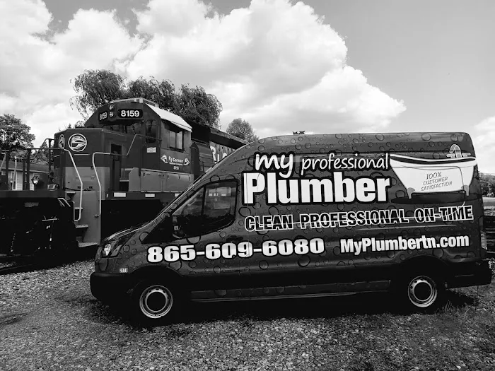 My Professional Plumber Picture 3