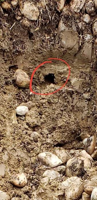 A-1 Sewer Cleaning Specialists Picture 1