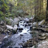 Better Plumbing Co ico