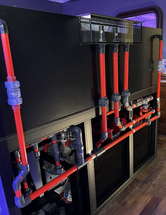 JTS Plumbing Services LLC Picture 9