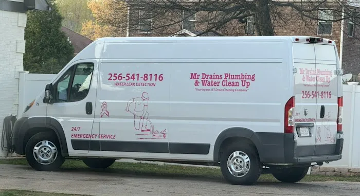 Mr Drains Plumbing & Water Clean Up Picture 3