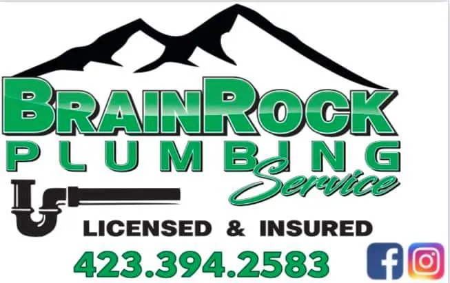 BrainRock Plumbing Picture 1