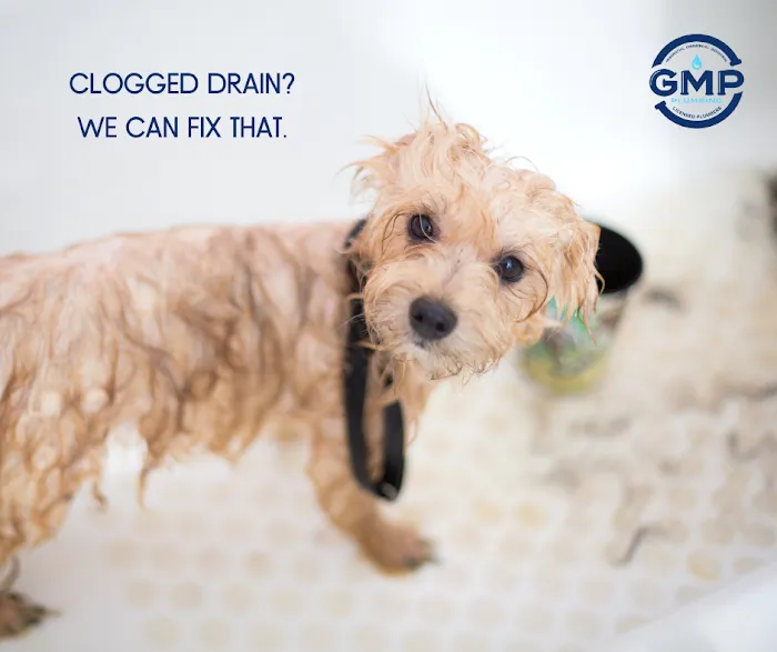 GMP Plumbing Picture 9
