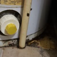 About Plumbing Inc. ico