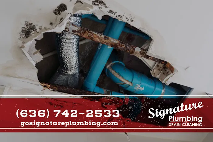 Signature Plumbing Services St Louis Picture 9
