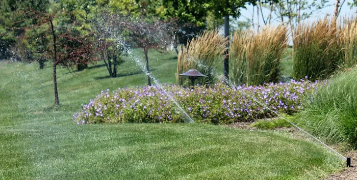 TCI Companies, Inc. Picture 8