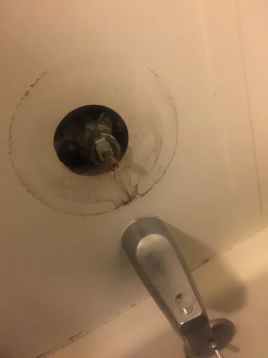 Friendly Frankfort plumbing and sewer Picture 2