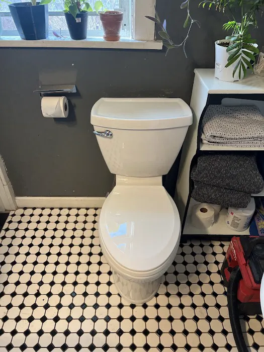 Thomas Lily Plumbing Picture 5