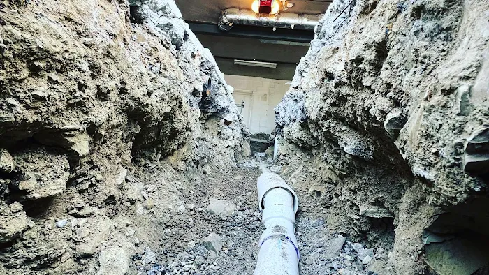 Thomas Lily Plumbing Picture 8