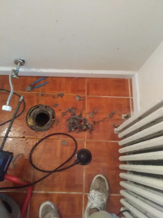 Eddies Affordable Sewer and Drain Cleaning Services Picture 9