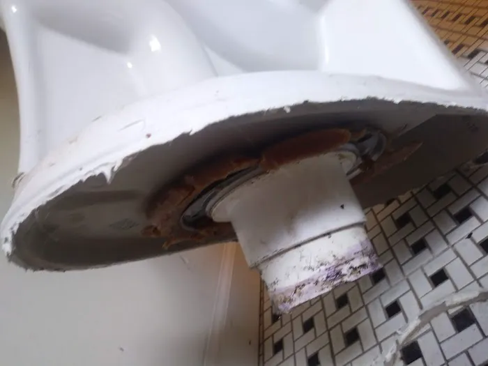 Eddies Affordable Sewer and Drain Cleaning Services Picture 2