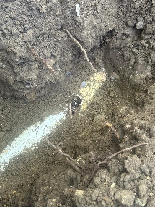 Bobs Plumbing Co Picture 7