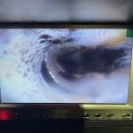 Clog Boss Drains and Septic