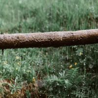 Emergency Plumbing Water Removal LLC ico