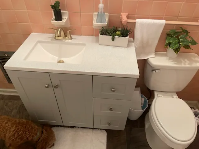 Buddy the Plumber Picture 4