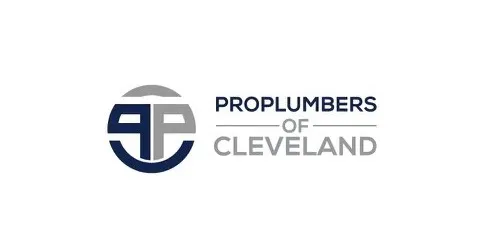 Pro Plumbers Picture 1