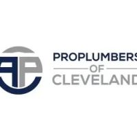 Pro Plumbers ico