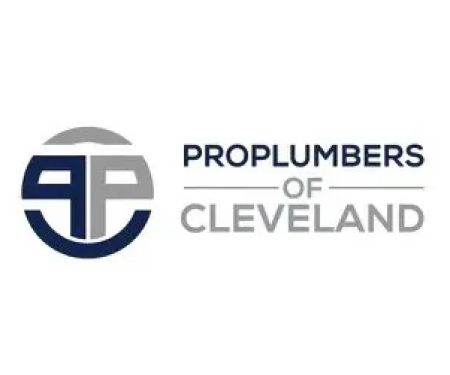 Pro Plumbers