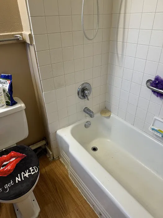 Royal Flush Plumbing & waterproofing Picture 2