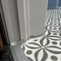 TJ's Plumbing & Heating of Erie ico