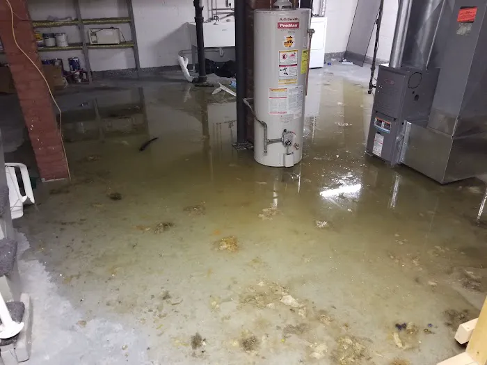 Savings Sewer & Drain Picture 9