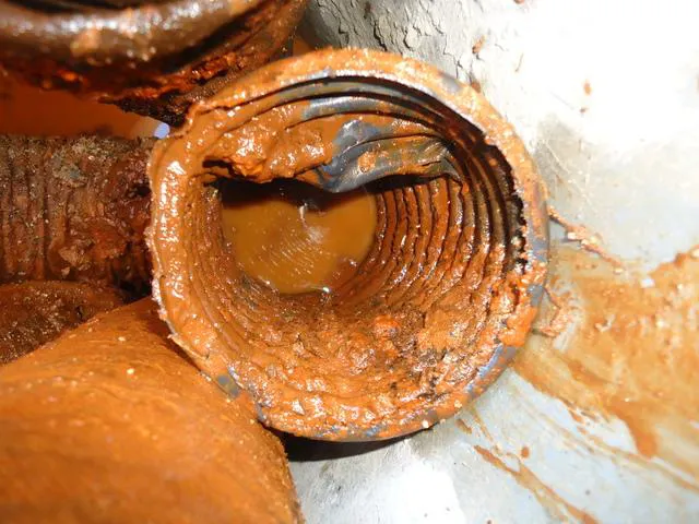 Savings Sewer & Drain Picture 10