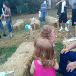 Brindlee Mountain Rooter