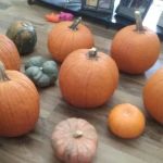 Charles E Mc Clure Plumbing