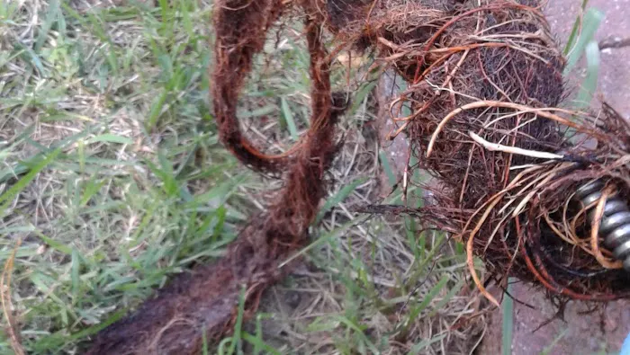 Black's Sewer Line Cleaning LLC Picture 6