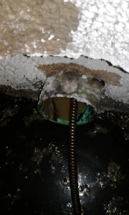 Black's Sewer Line Cleaning LLC Picture 3