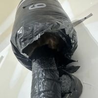 Patriot Plumbing ico
