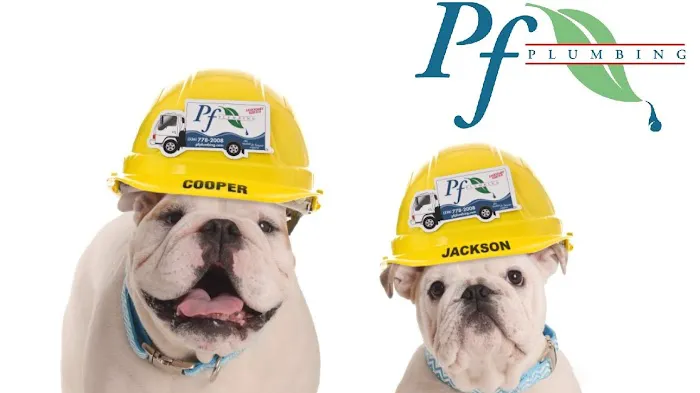 PF Plumbing Picture 1
