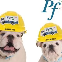 PF Plumbing ico
