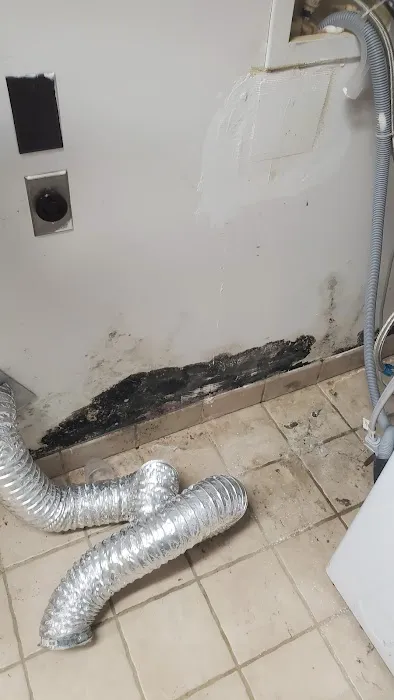 Big Dawg Drain Cleaning and Repair Picture 1
