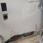 Big Dawg Drain Cleaning and Repair