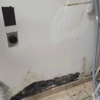 Big Dawg Drain Cleaning and Repair ico