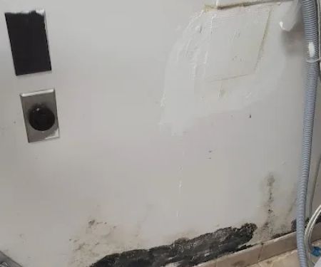 Big Dawg Drain Cleaning and Repair