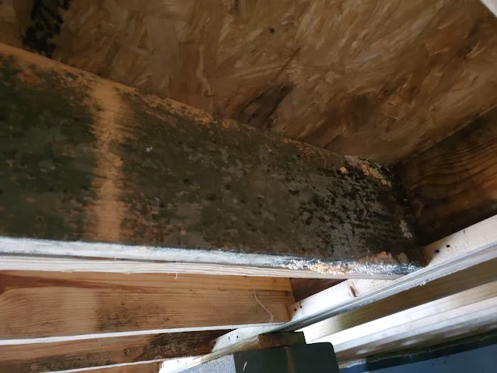 Big Dawg Drain Cleaning and Repair Picture 6