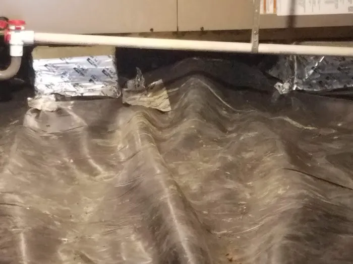 Big Dawg Drain Cleaning and Repair Picture 10