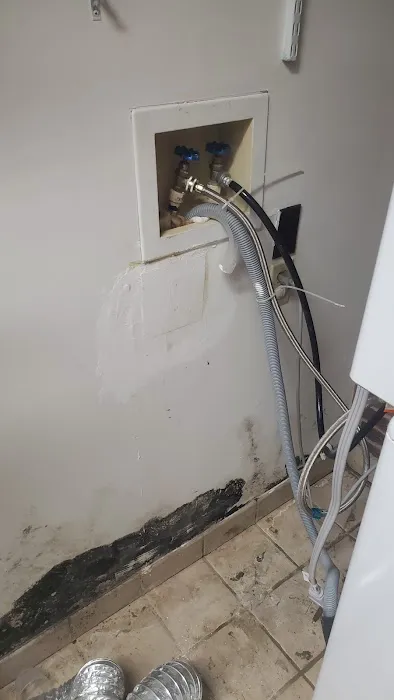Big Dawg Drain Cleaning and Repair Picture 3