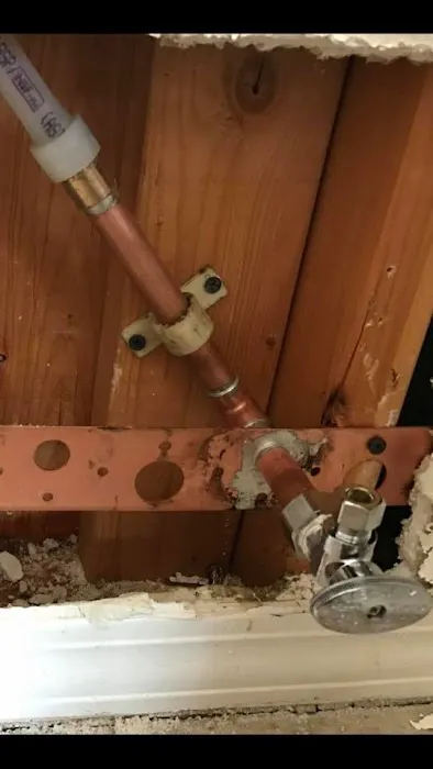 Real Plumbers Picture 1