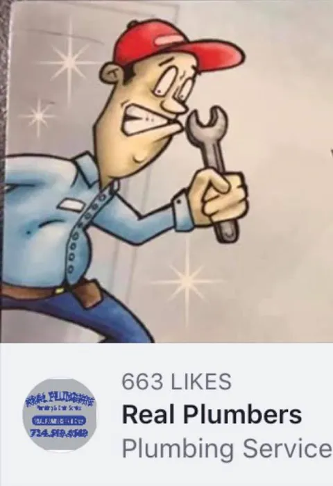 Real Plumbers Picture 9